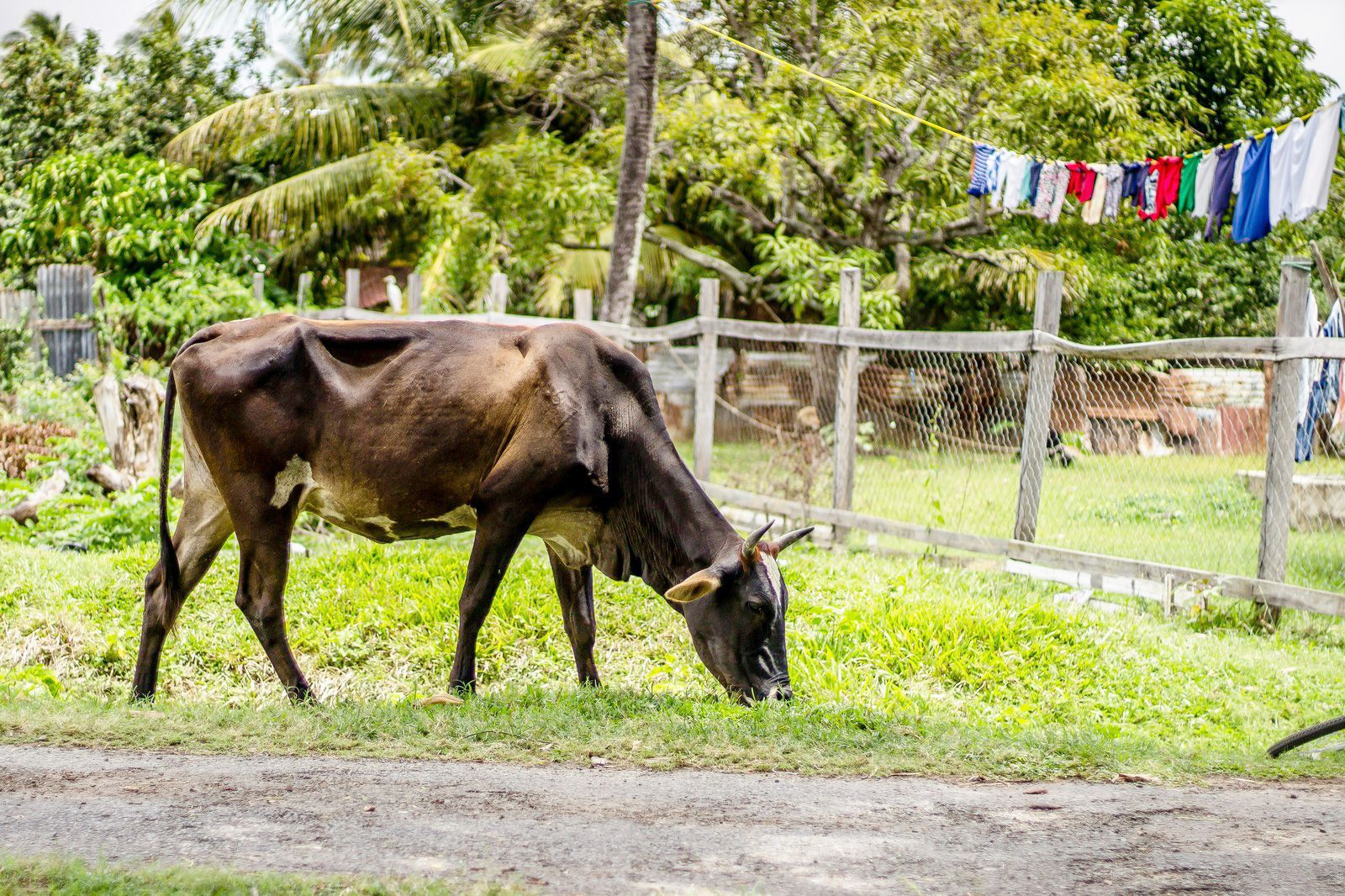 French Guiana travel destination