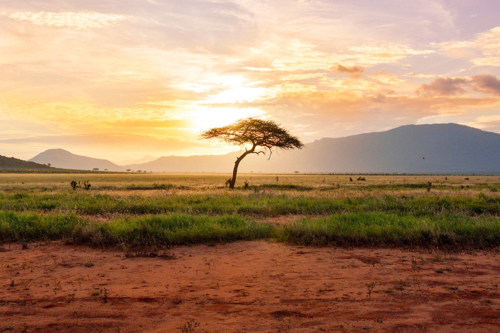 Kenya destinație de călătorie