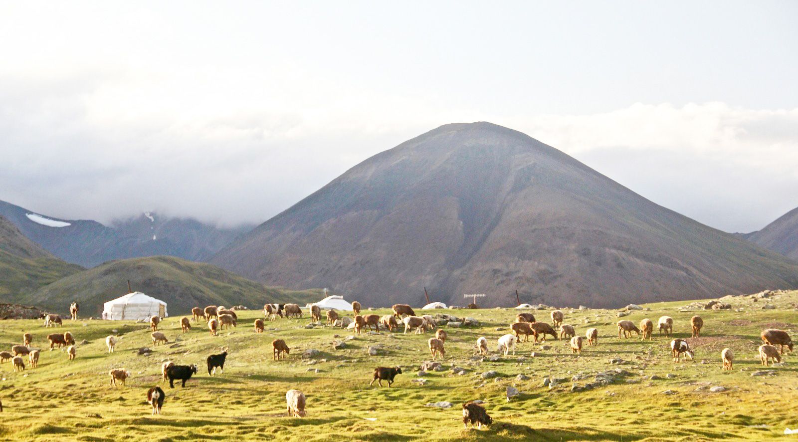 Mongolia travel destination