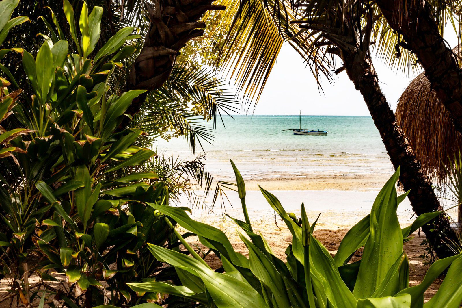 Mozambic destinație de călătorie