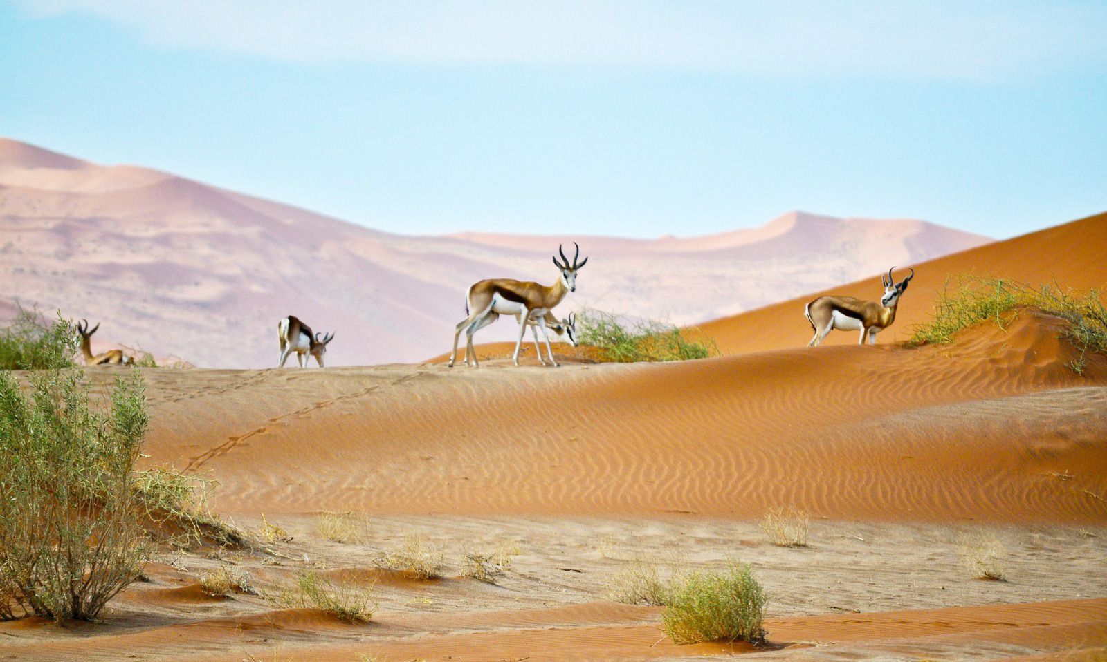 Namibia travel destination