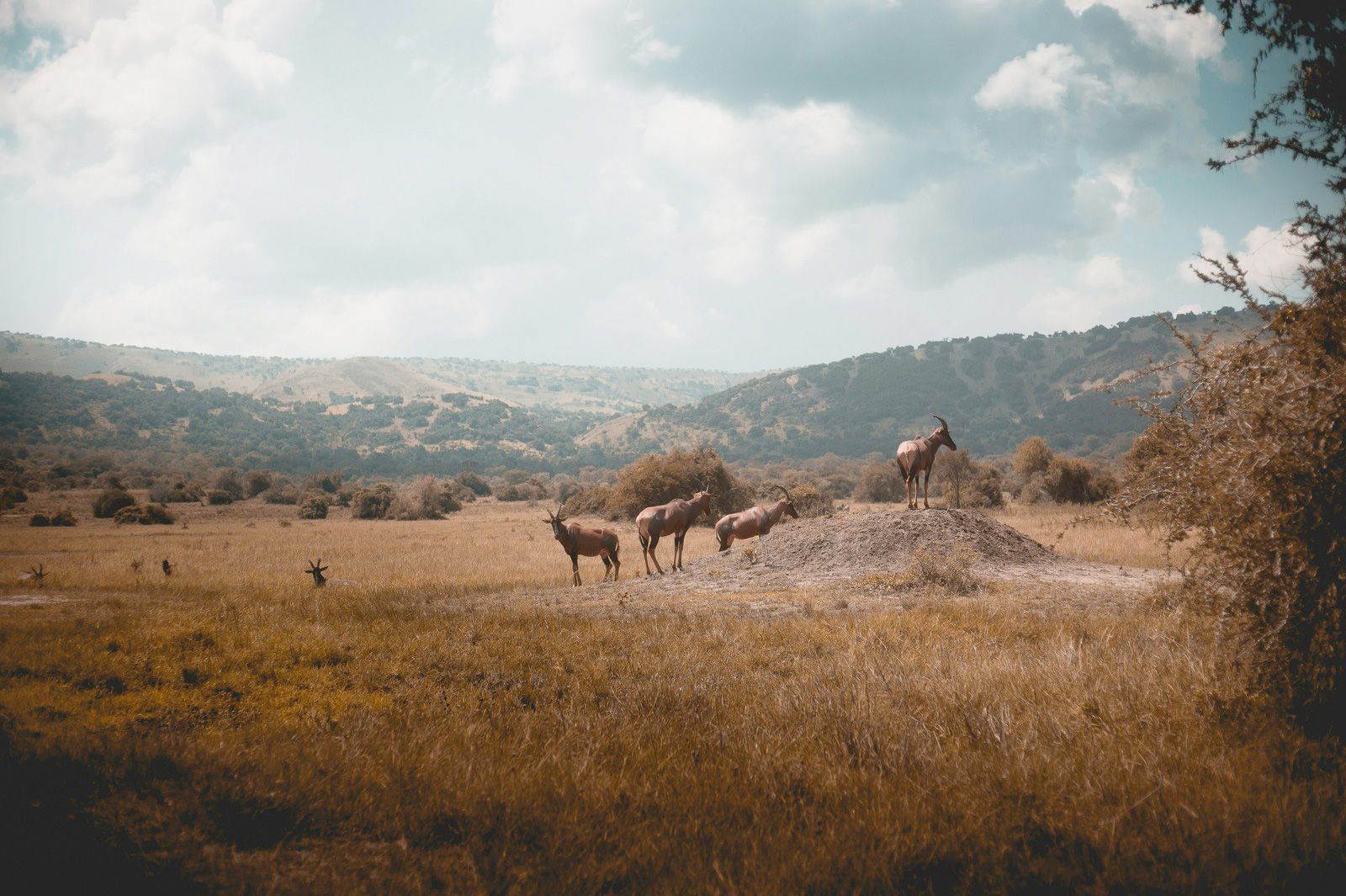 Rwanda travel destination